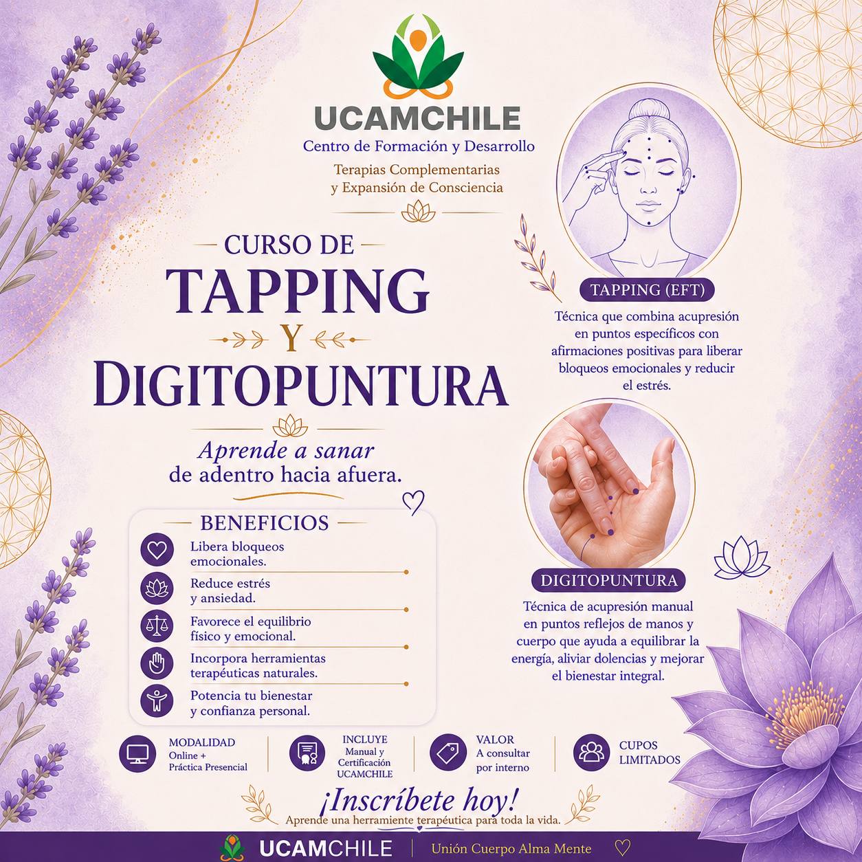 Encuentro Tapping